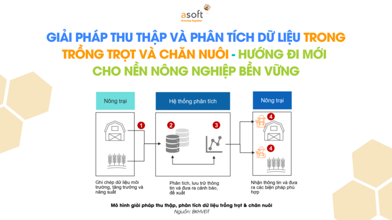 thu-thap-va-phan-tich-du-lieu