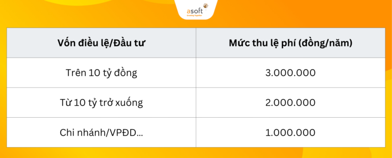 Công ty mới thành lập cần làm những gì năm 2025?