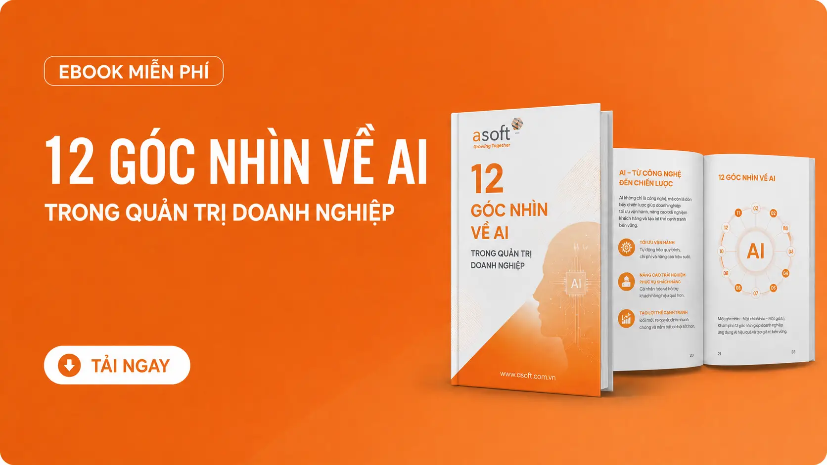Ebook Miễn phí “12 Góc Nhìn Về AI Trong Quản Trị Doanh Nghiệp”